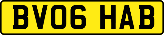 BV06HAB