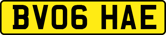 BV06HAE