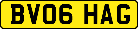BV06HAG