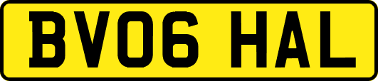 BV06HAL