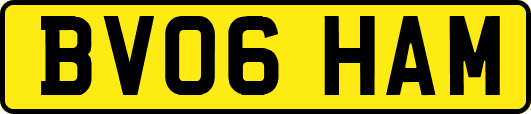 BV06HAM