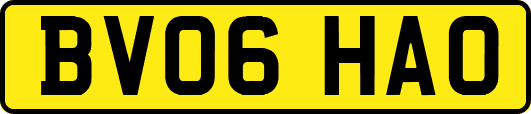 BV06HAO