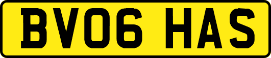 BV06HAS