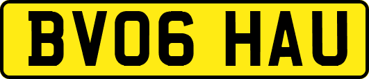BV06HAU