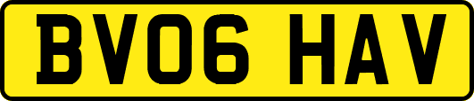 BV06HAV