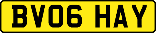 BV06HAY