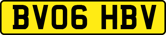 BV06HBV