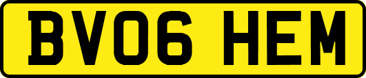 BV06HEM