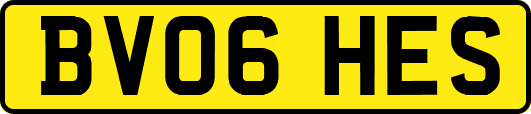 BV06HES