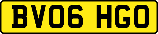 BV06HGO