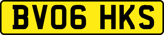 BV06HKS