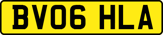 BV06HLA