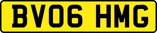BV06HMG