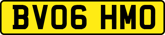 BV06HMO