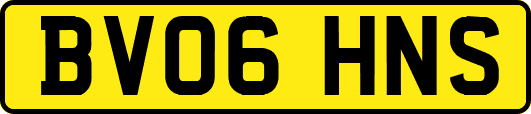 BV06HNS