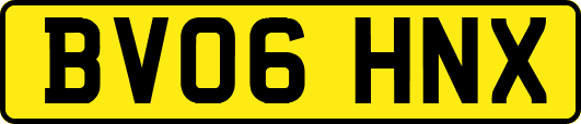 BV06HNX