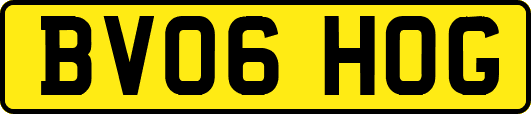 BV06HOG