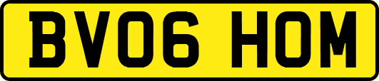 BV06HOM