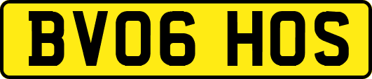 BV06HOS