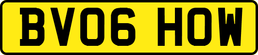BV06HOW