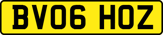 BV06HOZ