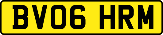 BV06HRM