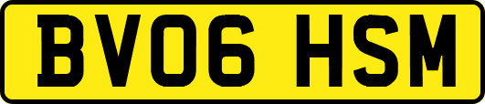 BV06HSM