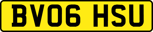 BV06HSU