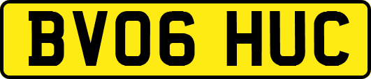 BV06HUC