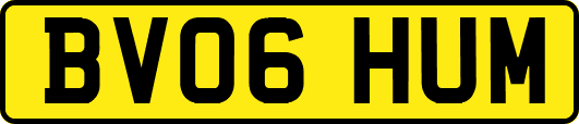 BV06HUM