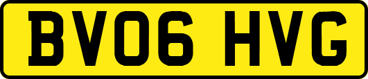 BV06HVG