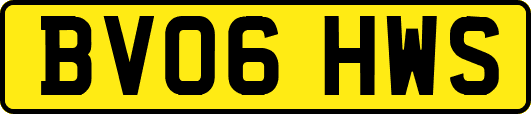 BV06HWS