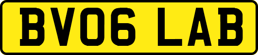 BV06LAB