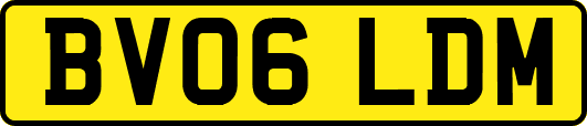 BV06LDM