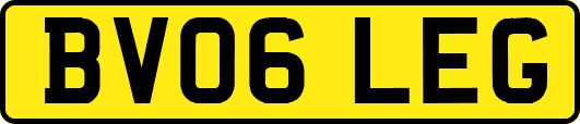 BV06LEG