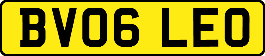 BV06LEO