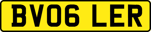 BV06LER