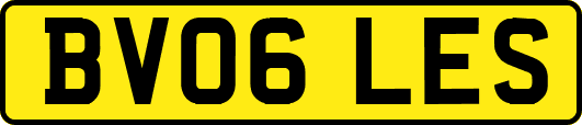BV06LES