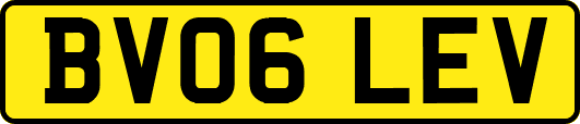 BV06LEV