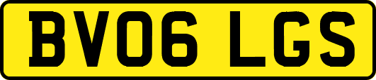 BV06LGS