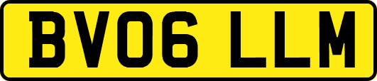 BV06LLM