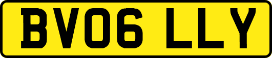 BV06LLY