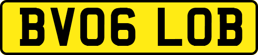 BV06LOB
