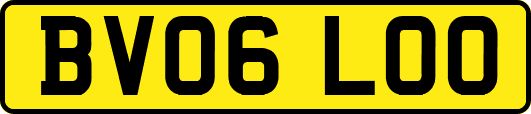 BV06LOO