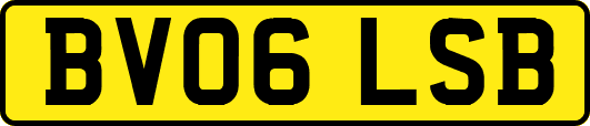 BV06LSB