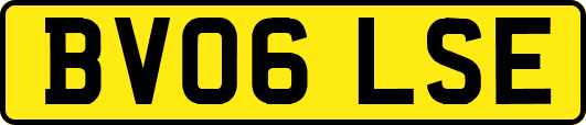 BV06LSE