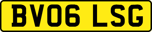 BV06LSG