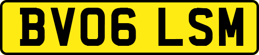 BV06LSM
