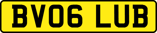 BV06LUB