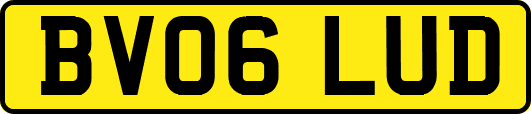 BV06LUD